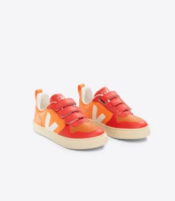V-10 X THE ANIMALS OBSERVATORY ORANGE<VEJA Store