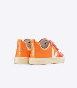 V-10 X THE ANIMALS OBSERVATORY ORANGE<VEJA Store